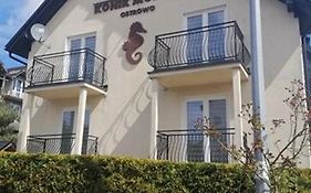 Apartamenty Konik Morski Ostrowo